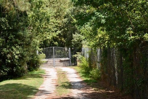 Bild 3 - 2 Zimmer Einfamilienhaus in San Galgano
