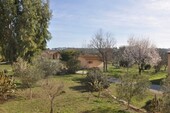 Bild 2 - Grundstück zum Kaufen in Massa Marittima