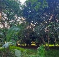 Grundstück mit private Strasse - 250.000,00 EUR Kaufpreis, ca.  4.249,00 m² in Cebu (PLZ: 6023)