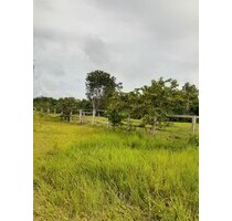 Brasilien riesengrosses 5´600 Ha Grundstück Region Rorainopo - Rorainopolis