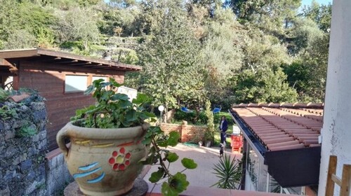 Bild 3 - 4 Zimmer Einfamilienhaus in Presa