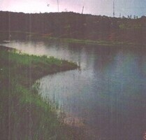 Brasilien 1´500 Ha Farm mit Privatsee und Plantagen - Rio Preto da Eva