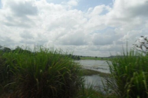 Bild 4 - Grundstück in Guttet zum Kaufen