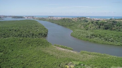 Bild 1 - Kakao-Fazenda - 1.000.000,00&nbsp;EUR Kaufpreis, ca.&nbsp; 650.000,00&nbsp;m&sup2;