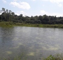 Brasilien 1´500 Ha Fischzucht Region Manaus AM