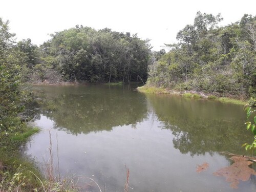 Bild 2 - 1 Zimmer Einfamilienhaus zum Kaufen in Manaus