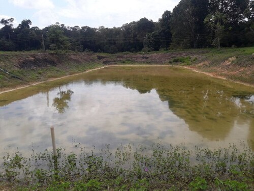 Bild 3 - 1 Zimmer Einfamilienhaus in Manaus