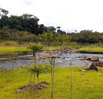 Brasilien 1´000 Ha Tiefpreis - Grundstück mit Rohstoffen Reg - Presidente Figueiredo-Balbina