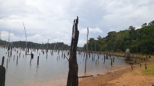 Bild 4 - Grundstück in Presidente Figueiredo-Balbina zum Kaufen