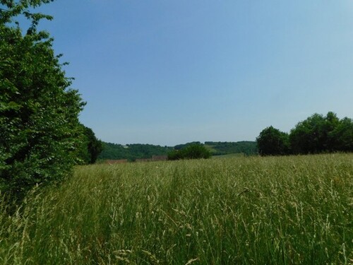 Bild 1 - Baugrundstück nahe Simorre mit Blick auf die Pyrenäen
