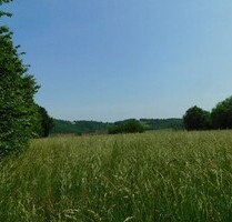 Baugrundstück nahe Simorre mit Blick auf die Pyrenäen