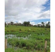 Brasilien riesengrosse 1´850 Ha Farm - Iracema