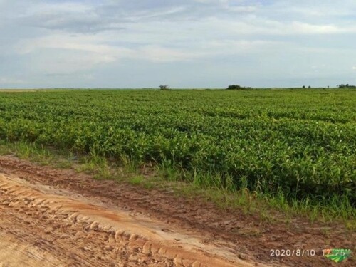 Bild 3 - Grundstück in Bonfim