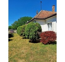 Im Komitat Somogy ein 100m2 Haus mit 3520m2 Grund - Vörs