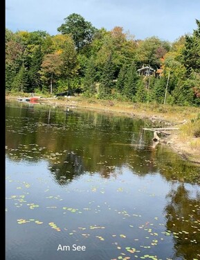 Bild 2 - Grundstück zum Kaufen in Grenville-sur-la-Rouge