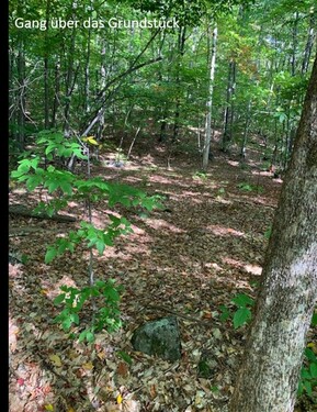 Bild 3 - Grundstück in Grenville-sur-la-Rouge