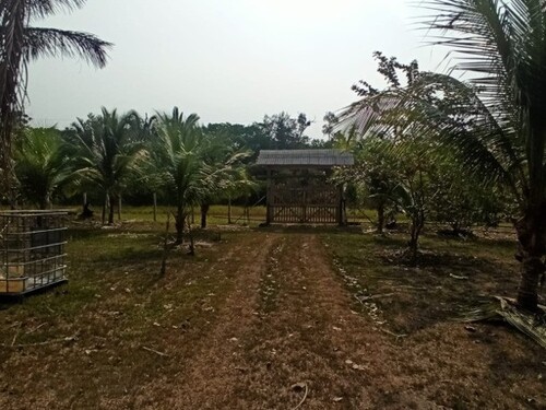 Bild 4 - Grundstück in Manaus zum Kaufen