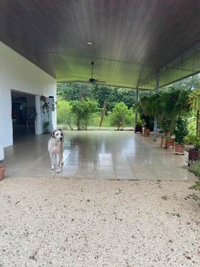 Bild 2 - 3 Zimmer Einfamilienhaus zum Kaufen in La Roxana de Santa Rita