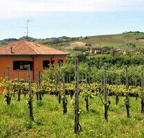 Ferienhaus - 495.000,00&nbsp;EUR Kaufpreis, ca.&nbsp; 300,00&nbsp;m&sup2;&nbsp;Wohnfl&auml;che in Montecalvo Versiggia (PLZ: 27047)