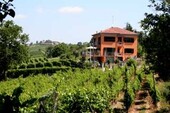 Bild 3 - 12 Zimmer Einfamilienhaus in Montecalvo Versiggia