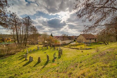 Bild 3 - 21 Zimmer Einfamilienhaus in Uzenicky