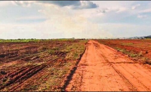 Bild 3 - 4 Zimmer Einfamilienhaus in Goiania