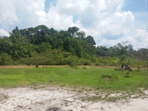 Bild 1 - Brasilien 900 Ha Grundstück Region Manaus-Silves AM