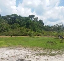 Brasilien 900 Ha Grundstück Region Manaus-Silves AM