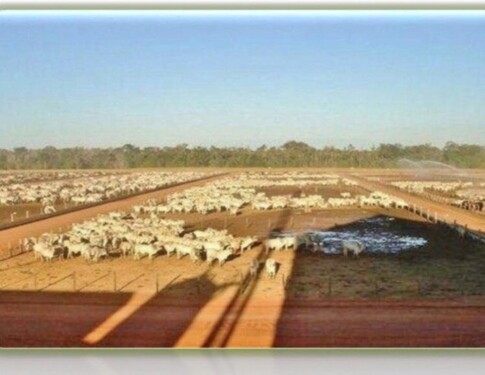 Bild 4 - Einfamilienhaus mit 1.000,00 m&sup2; in Goiania zum Kaufen