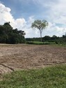 Bild 1 - Brasilien riesengrosse 1´250 Ha Farm-mit Fruchtplantagen