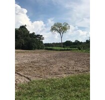 Brasilien riesengrosse 1´250 Ha Farm-mit Fruchtplantagen - Manaus