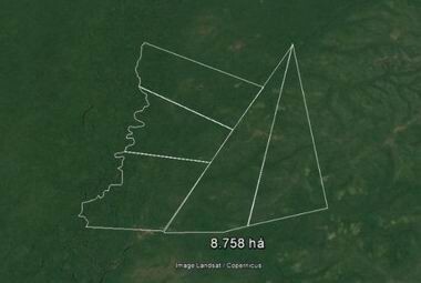 Bild 2 - Grundstück zum Kaufen in Boa Vista