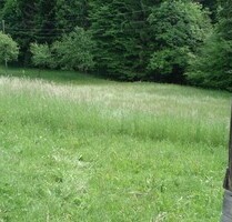 Baugrundstück mit Wiese und kleinem Wald - Ribnica na Pohorju