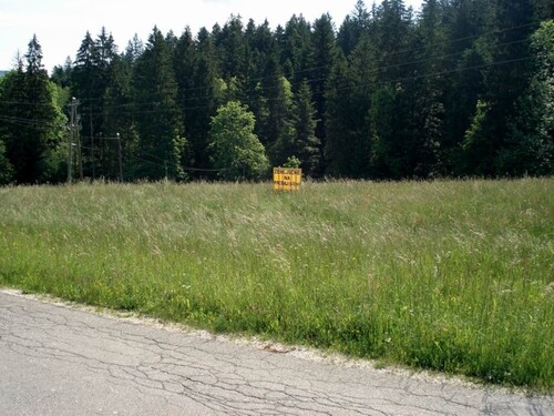 Bild 3 - Grundstück in Ribnica na Pohorju