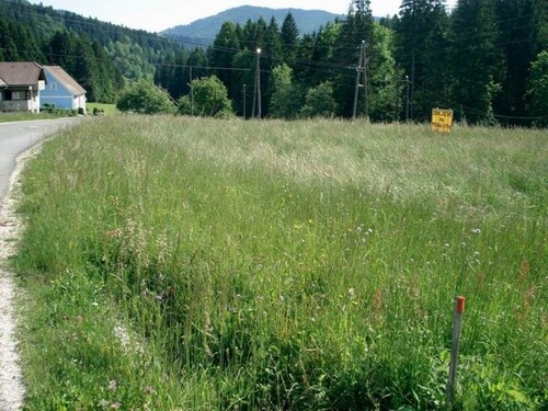 Bild 4 - Grundstück in Ribnica na Pohorju zum Kaufen