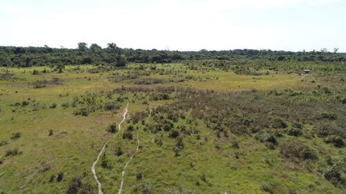 Bild 1 - Brasilien riesengrosse 1´987 Ha Farm Region - Rorainopolis R