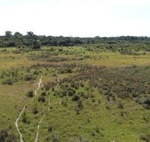 Brasilien riesengrosse 1´987 Ha Farm Region - Rorainopolis R