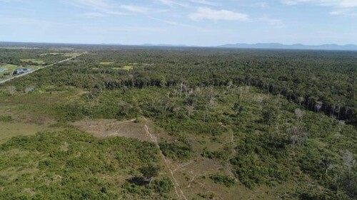 Bild 3 - Grundstück in Rorainopolis