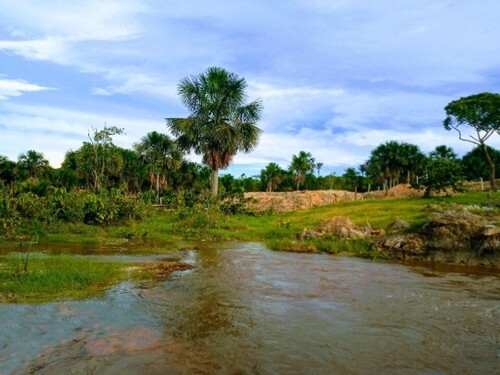 Bild 3 - Grundstück in Coari