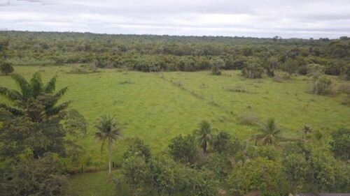 Bild 2 - Grundstück zum Kaufen in Presidente Figueiredo