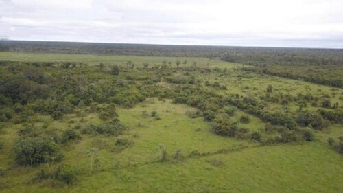 Bild 4 - Grundstück in Presidente Figueiredo zum Kaufen