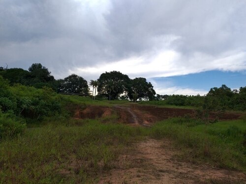 Bild 3 - Grundstück in Itapiranga