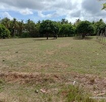 Bauland,Investment,Agrarland,2000qm, Küstennähe,Philippinen - Odiongan