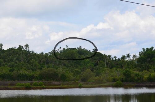 Bild 1 - Bauland, Investment, 3,12ha an Küstenstrasse in Philippinen