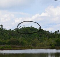 Bauland, Investment, 3,12ha an Küstenstrasse in Philippinen - Odiongan