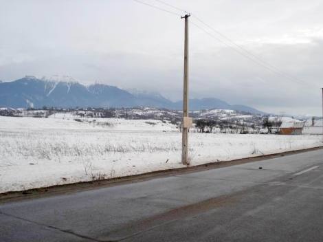 Bild 1 - Grundstueck in der Naehe des Draculaschlosses ! Camping