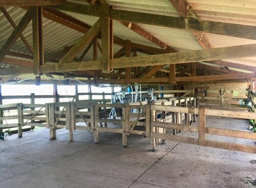 Bild 3 - Grundstück in Campo Grande