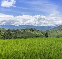 Die Hälfte eines grossen Hauses im Herzen Italiens - Sant´Omero