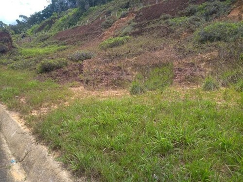 Bild 1 - Brasilien 116 Ha Grundstück in der Nähe von Manaus