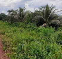 Brasilien 50 Ha Tiefpreis- Grundstück bei Presidente Figueir - Presidente Figueiredo